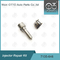 7135-646 Delphi Injector Repair Kit Voor Injector 28232251 / R03101D / R05102D