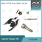 7135-646 Delphi Injector Repair Kit Voor Injector 28232251 / R03101D / R05102D
